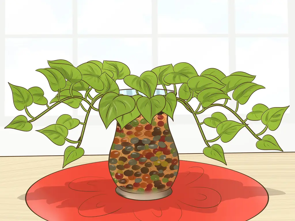 Как клонировать Pothos: 15 шагов (с изображениями)