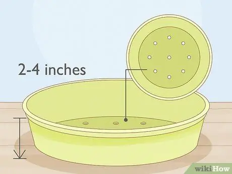 Выращивание ростков гороха Шаг 2