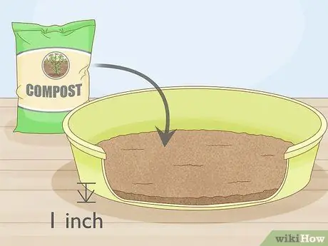 Выращивание ростков гороха Шаг 3