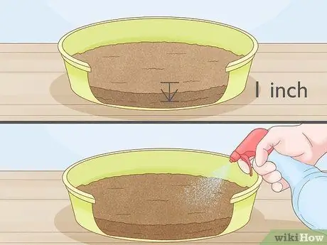 Выращивание ростков гороха Шаг 6