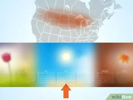 Планирование зимнего сада Шаг 1