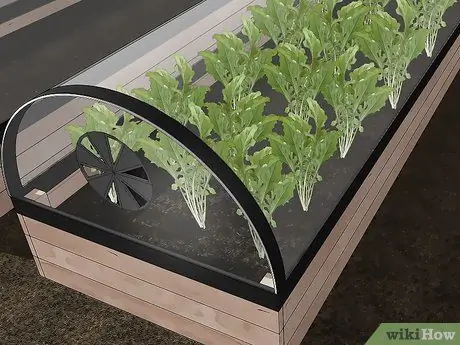 Планирование зимнего сада Шаг 11