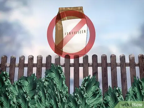 Планирование зимнего сада Шаг 13