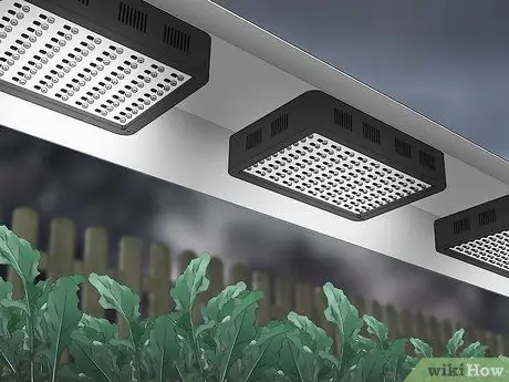 Планирование зимнего сада Шаг 14