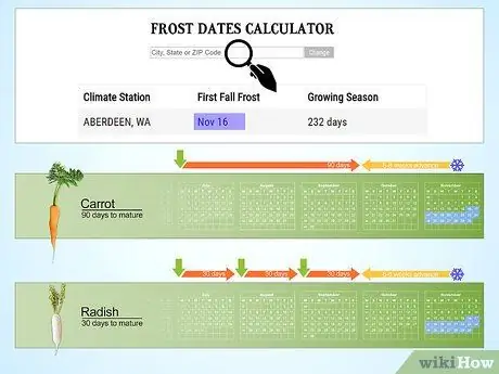 Планирование зимнего сада Шаг 2
