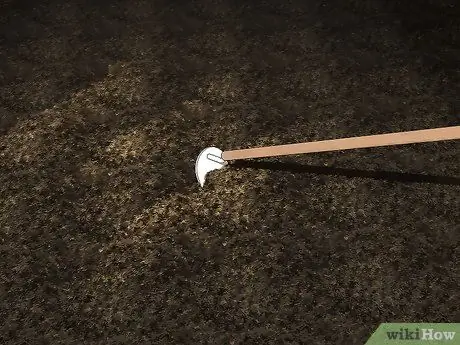 Планирование зимнего сада Шаг 3