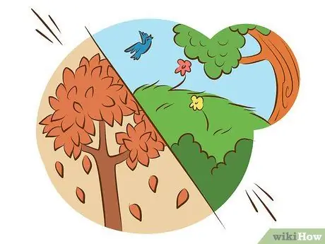 Выращивайте растения сладкого вильгельма, шаг 3