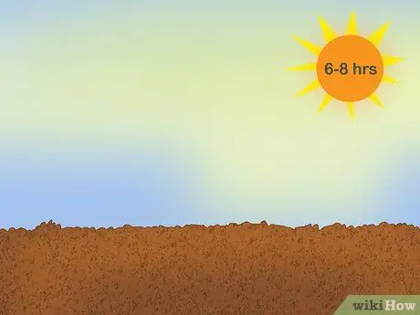 Посадить подснежники Шаг 1