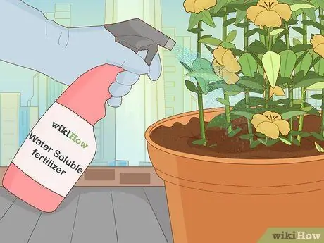 Посадить подснежники Шаг 12