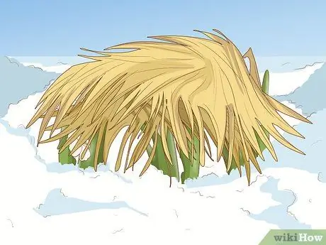 Посадить подснежники Шаг 13