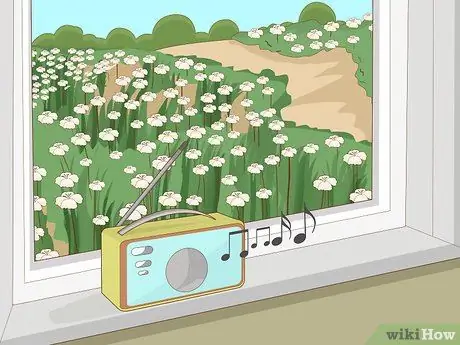 Посадить подснежники Шаг 14