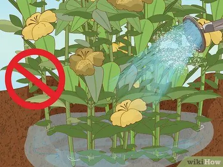 Посадить подснежники Шаг 15