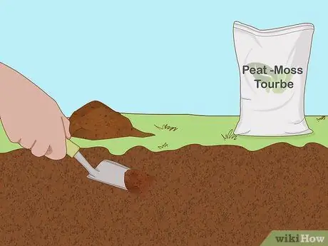 Посадить подснежники Шаг 2