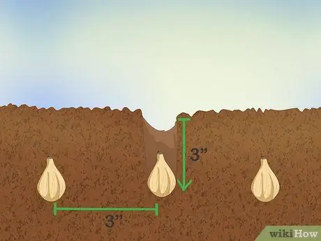 Посадить подснежники Шаг 3