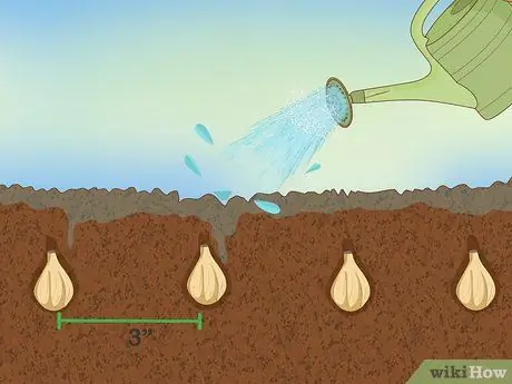 Посадить подснежники Шаг 4