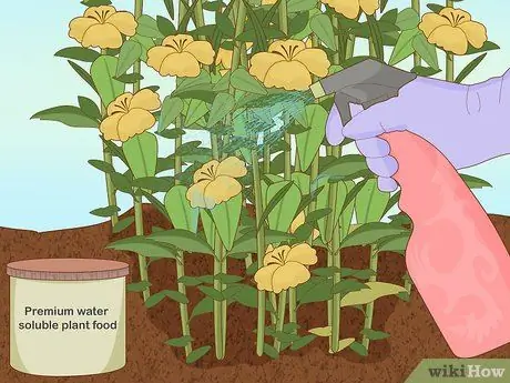 Посадить подснежники Шаг 6