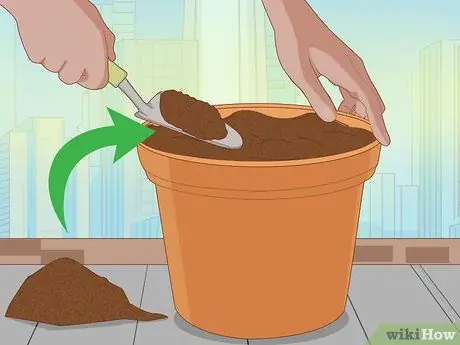 Посадить подснежники Шаг 8