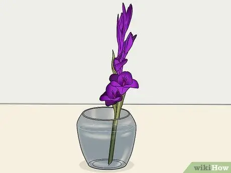 Вырезать гладиолуса, шаг 3