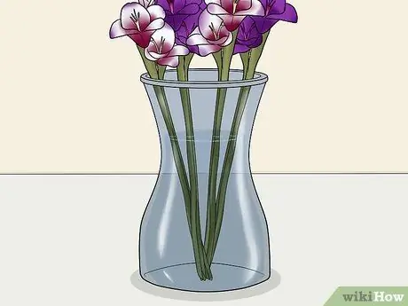 Вырезать гладиолуса Шаг 4