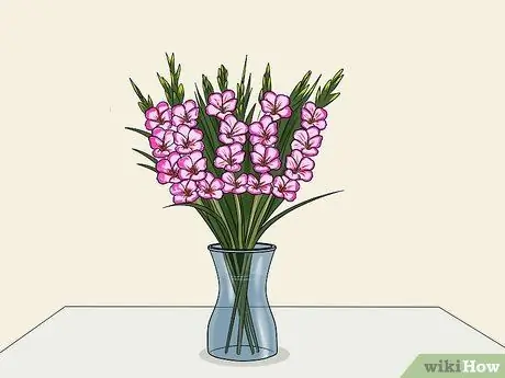 Вырезать гладиолуса Шаг 5