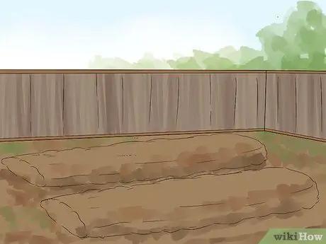 Выращивание сирени Шаг 2