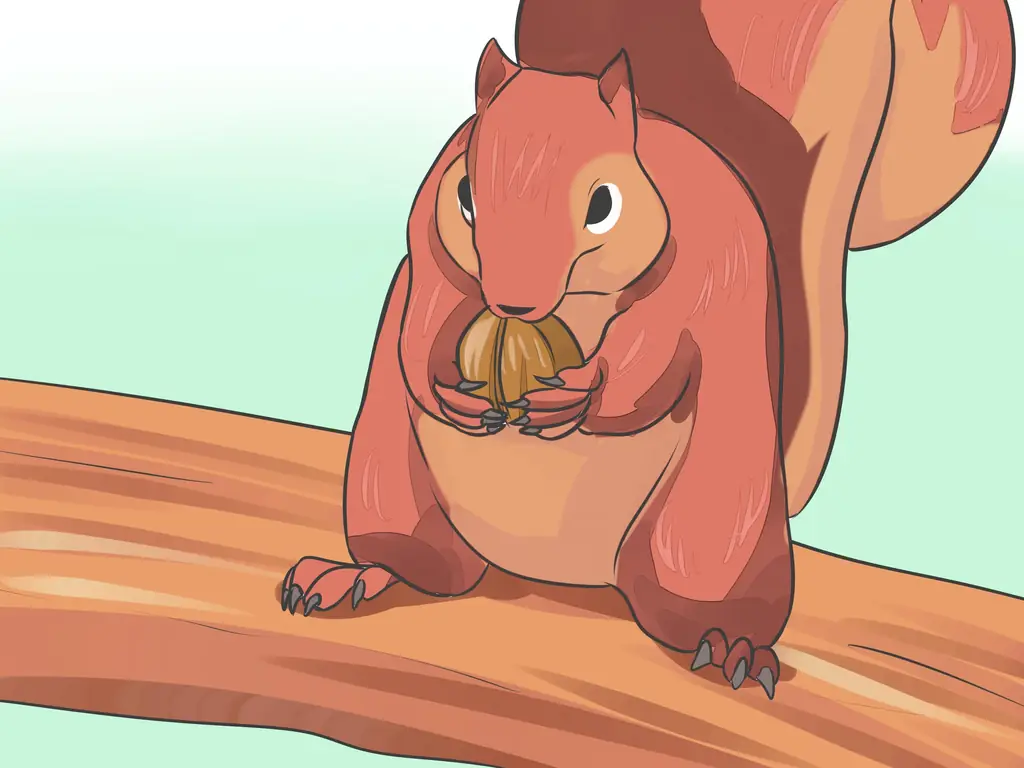 Как посадить ореховое дерево (с иллюстрациями)