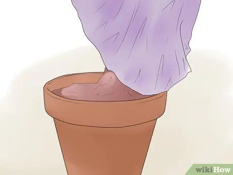 Уход за растением хойя Шаг 12