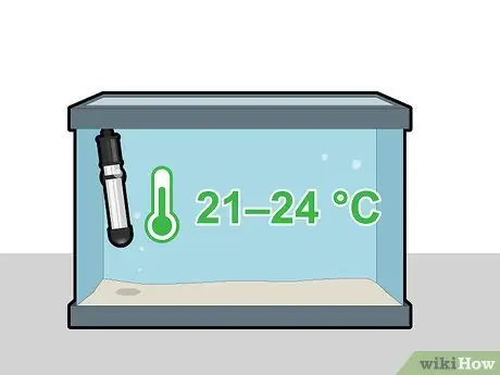 Выращивание яванского мха, шаг 2