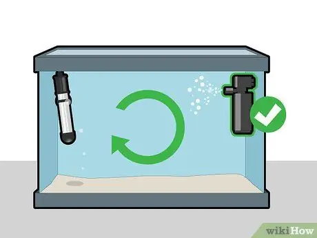 Выращивание яванского мха, шаг 4