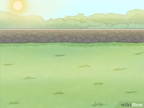 Посадить деревья гуавы Шаг 2