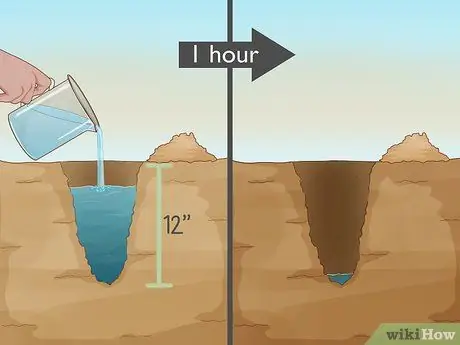 Посадить деревья гуавы Шаг 3