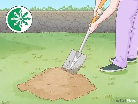 Посадить деревья гуавы Шаг 4