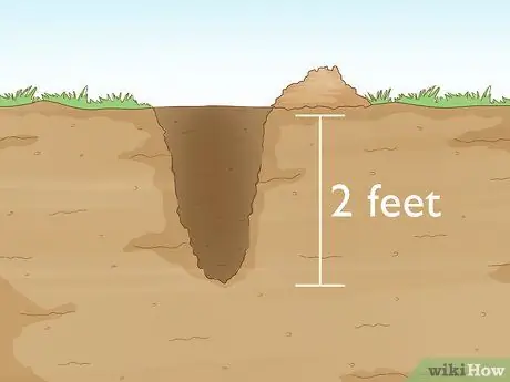 Посадить деревья гуавы Шаг 6