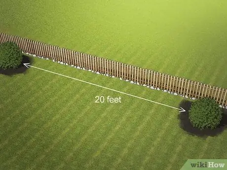 Выращивать орехи, шаг 10