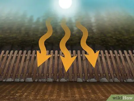 Выращивать орехи, шаг 2