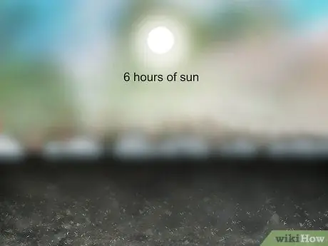 Сажайте кур и цыплят, шаг 2