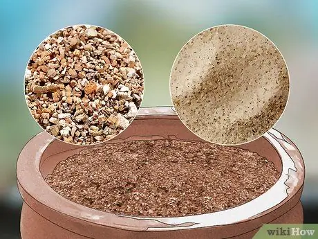 Сажайте кур и цыплят Шаг 3