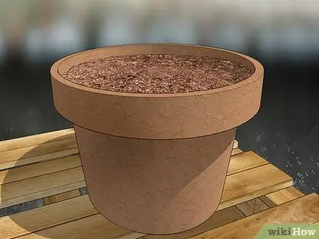 Сажайте кур и цыплят Шаг 5