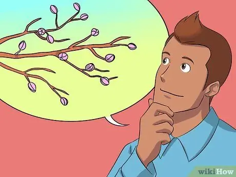 Разделить папоротники Шаг 12