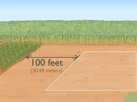 Выращивание попкорна, шаг 3
