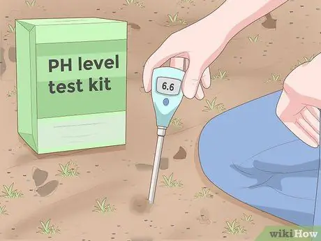 Выращивайте растения быстрее, шаг 1