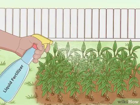 Выращивайте растения быстрее, шаг 7