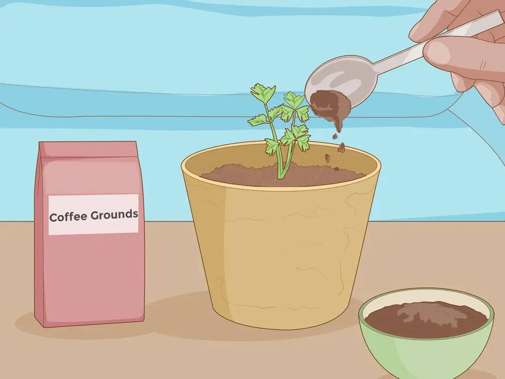 3 способа вырастить растения быстрее