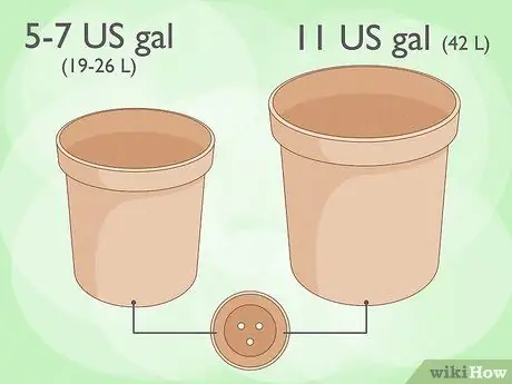 Выращивание автоцветов на открытом воздухе, шаг 2