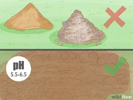 Выращивание автоцветов на открытом воздухе, шаг 3