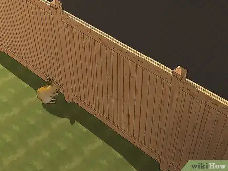 Выращивание индиго, шаг 12