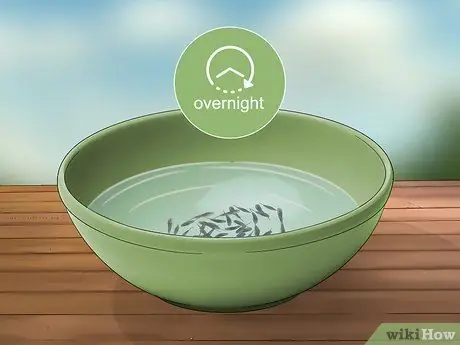 Выращивание индиго, шаг 6