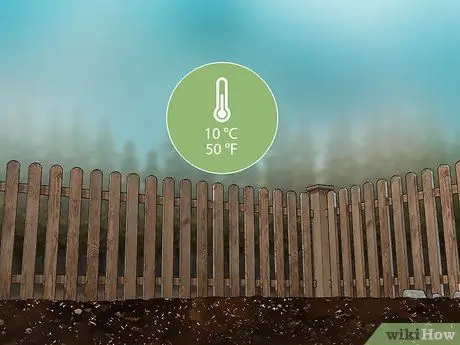 Выращивание индиго, шаг 8