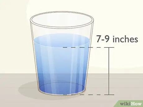 Выращивание класии из черенков, шаг 4