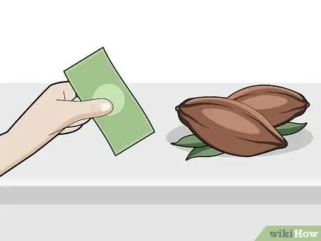 Выращивание шоколада в помещении, шаг 1